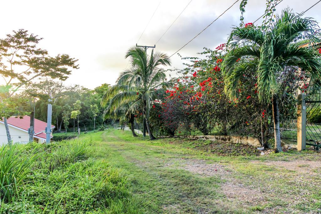 Villa Maya 圣伊格纳西奥 外观 照片